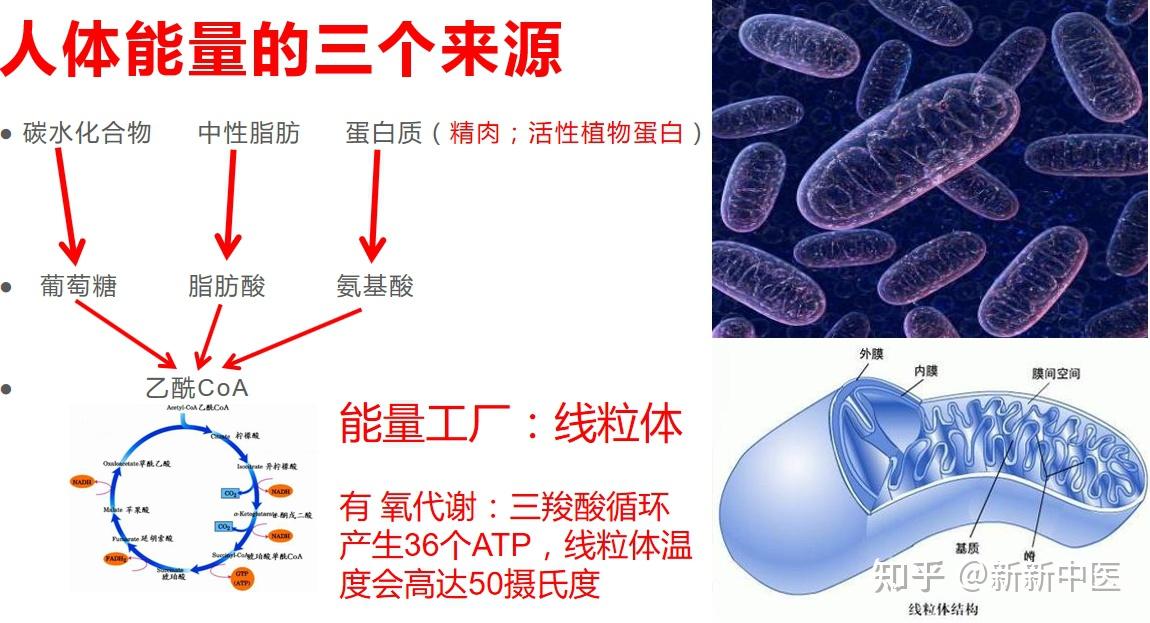 中医的“气” - 知乎