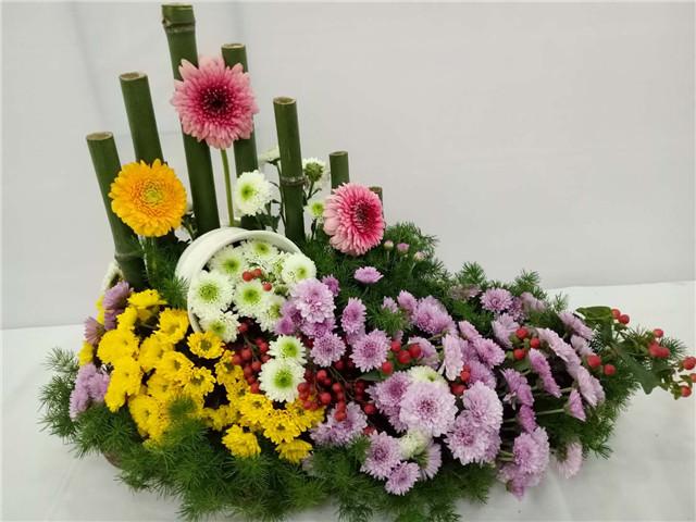 绿色加紫色是什么色系 v2-a3e3cadd745346854af407ff1000237d_r.jpg