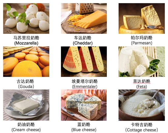 用奶酪涮火锅嗯嗯你没有听错