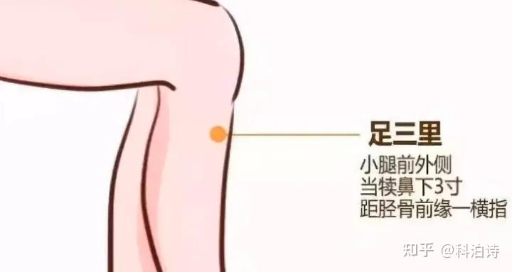 八髎穴,每天灸一灸,疏通气血,是女人的气血开关!调理妇科疾病! - 知乎