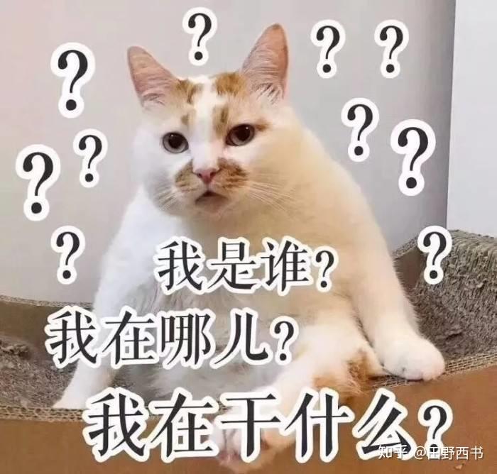 v2-a3fc23a50eea4b06b7fc44bfd4dcd06a_r.jpg