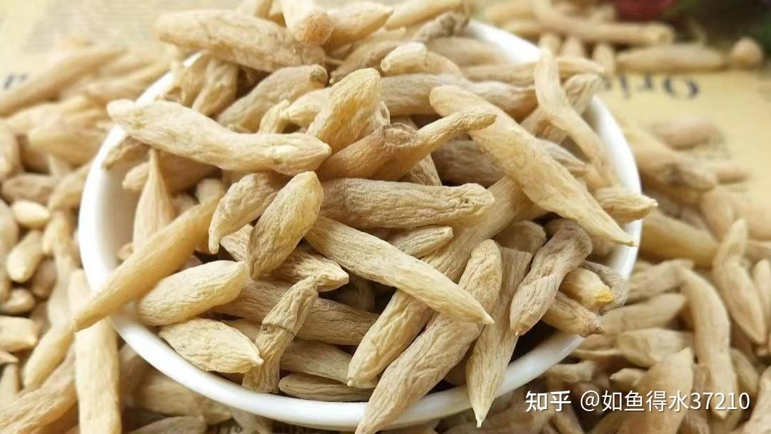 倪师讲麦门冬：润肺清火，津液少，口干口渴，眼黄舌苔黄。健美润泽，营养易怀孕。 - 知乎