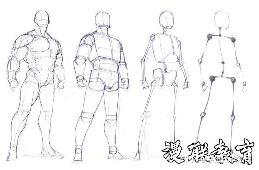 「教程」人体绘画基础 part 01 认识骨骼 - 知乎