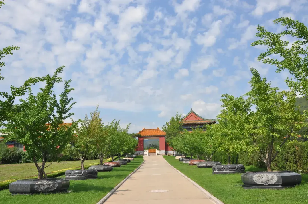 北京天寿园第四届公益节地生态葬集体追思仪式让生命回归自然