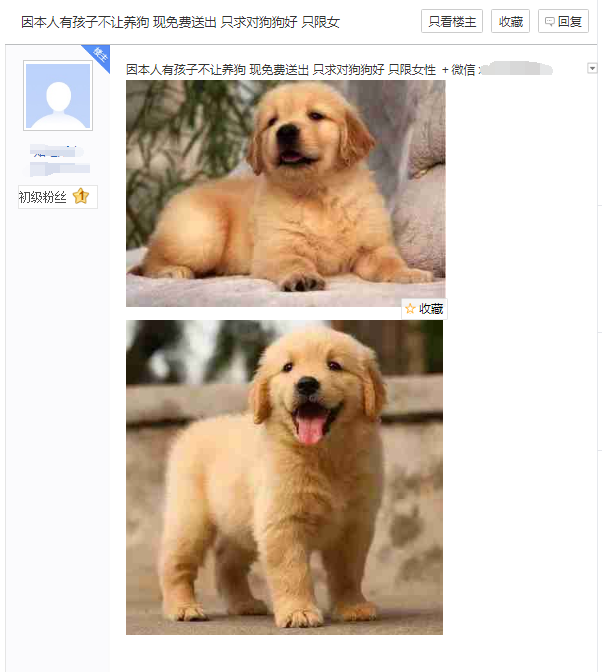 免费送宠物,宠物的种类就很多了,狗狗 猫咪都可以,尽量选择比较招女孩