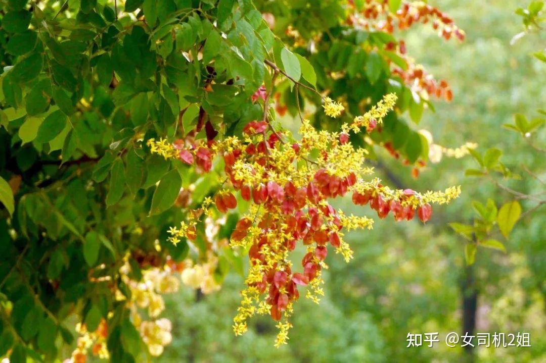 试驾全新EQE，唤醒对生活的每寸感知 - 知乎