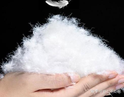 鹅绒和鸭绒区别大吗?鹅绒和鸭绒羽绒服哪个更暖和?附鹅绒羽绒服推荐 - 知乎