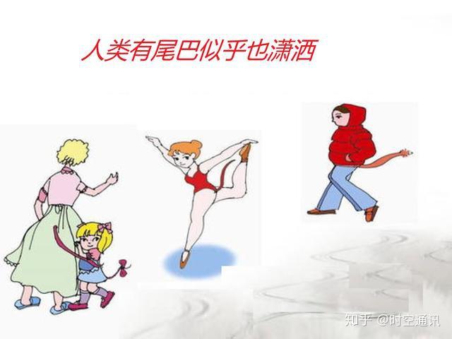 如果人类一直有尾巴生活会有什么不同如何着装