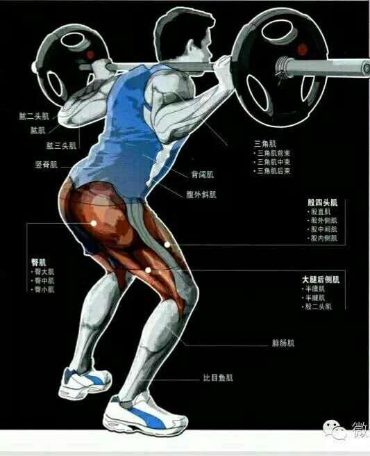 如何选择合适的杠铃重量?