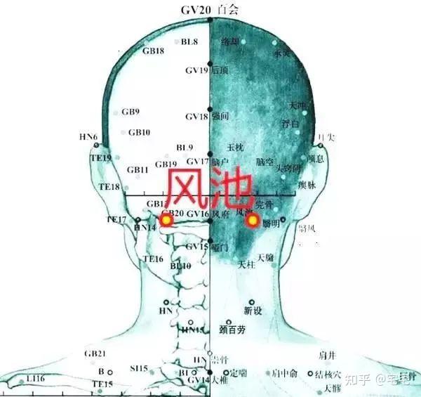 针灸配穴及补泻原理! - 知乎