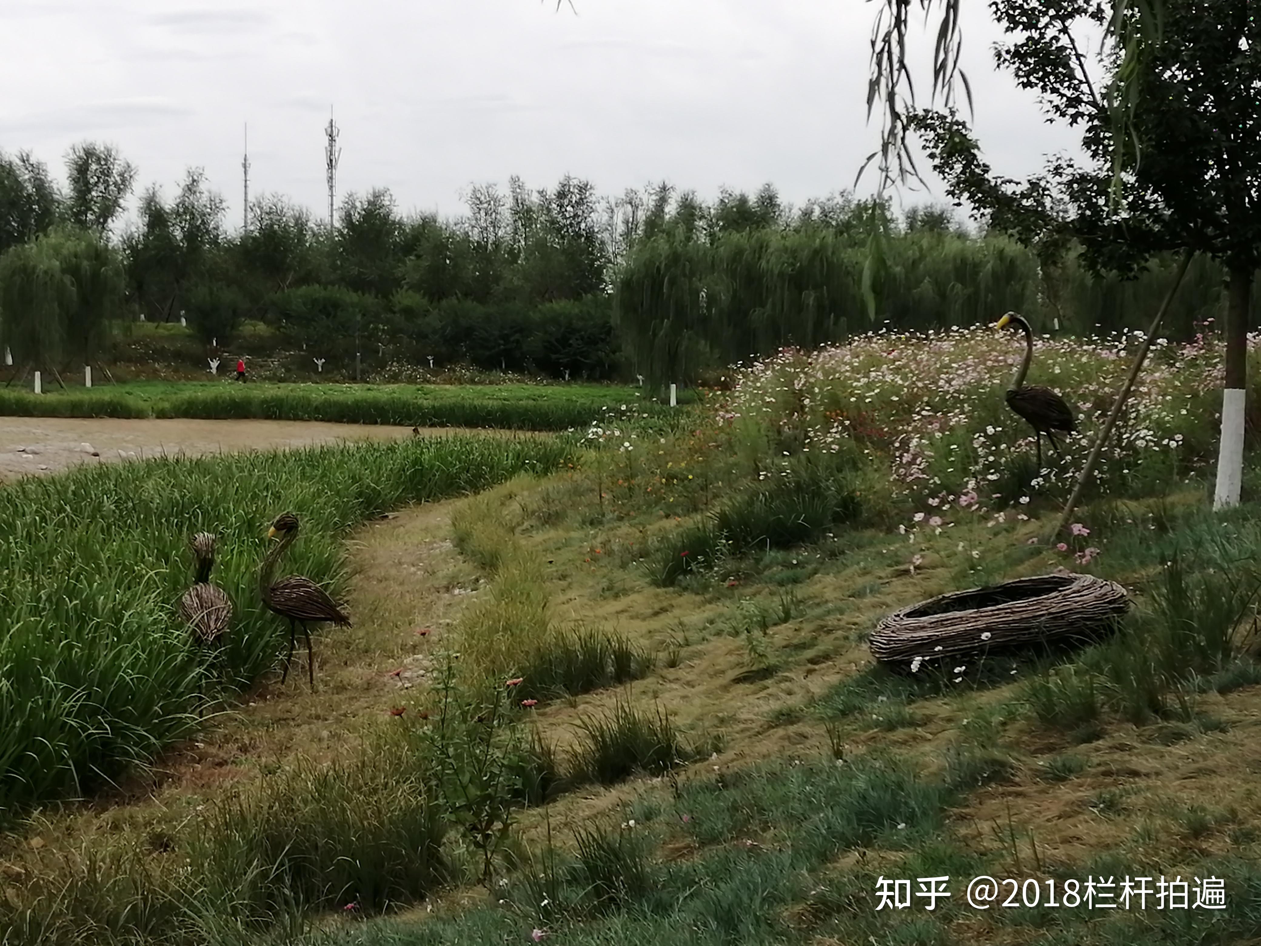 北京：久敬庄公园 - 知乎