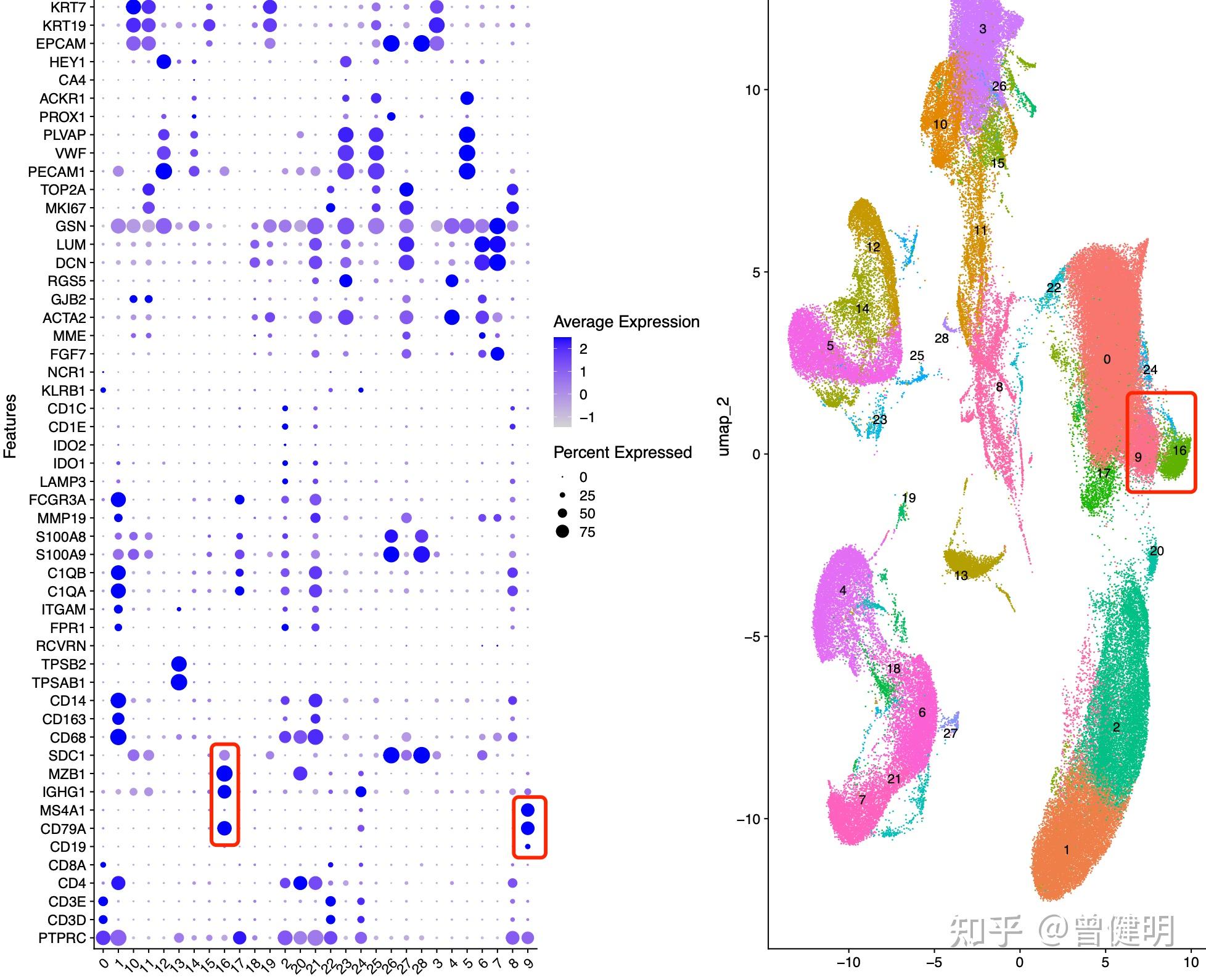 降维聚类分群的umap图真的重要吗 - 知乎