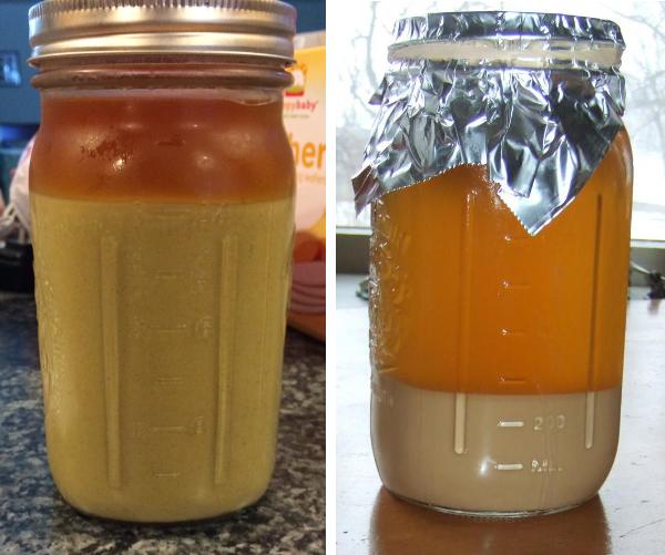 自酿啤酒酵母泥回收保存