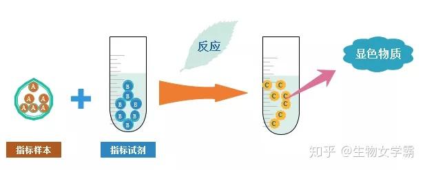 什么是生化检测? - 知乎