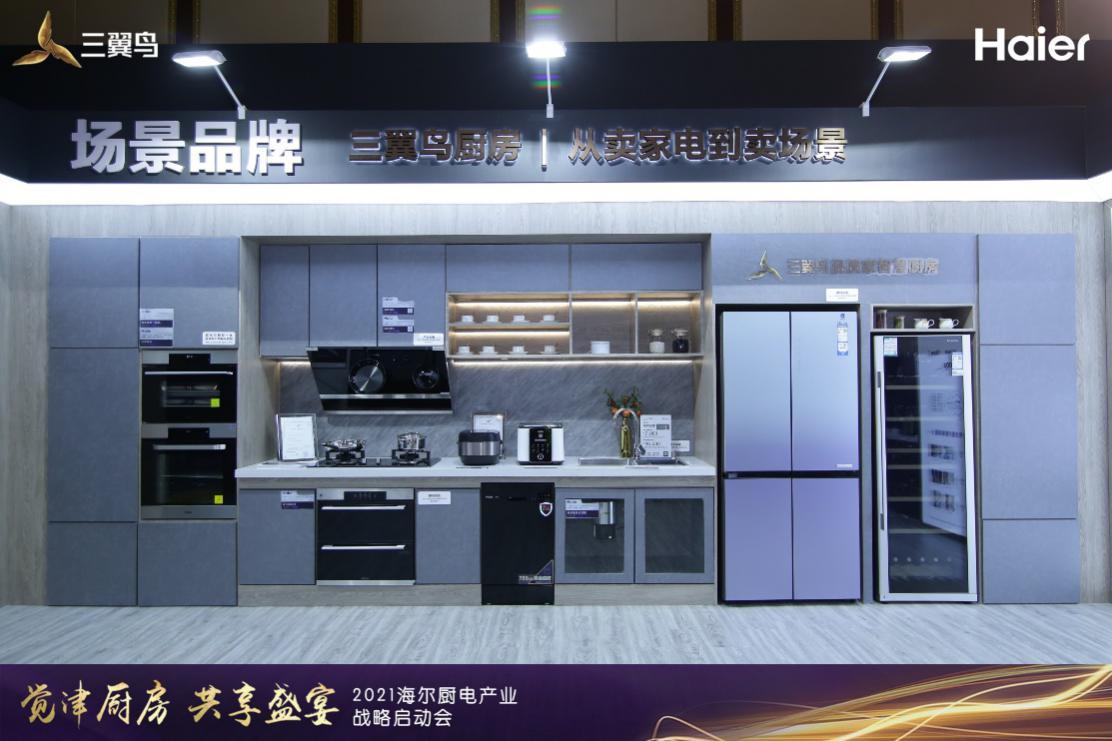 全球厨电超千万台品牌有5个中国只有海尔一个