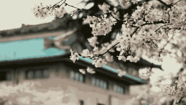 武汉南京重庆成都沈阳对比 哪个综合实力更强