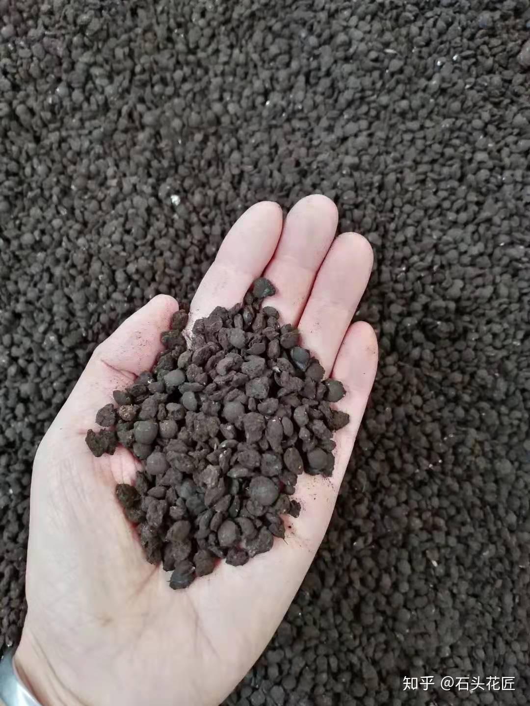 养花追肥用羊粪选对了促进生长选错了土壤板结烂根