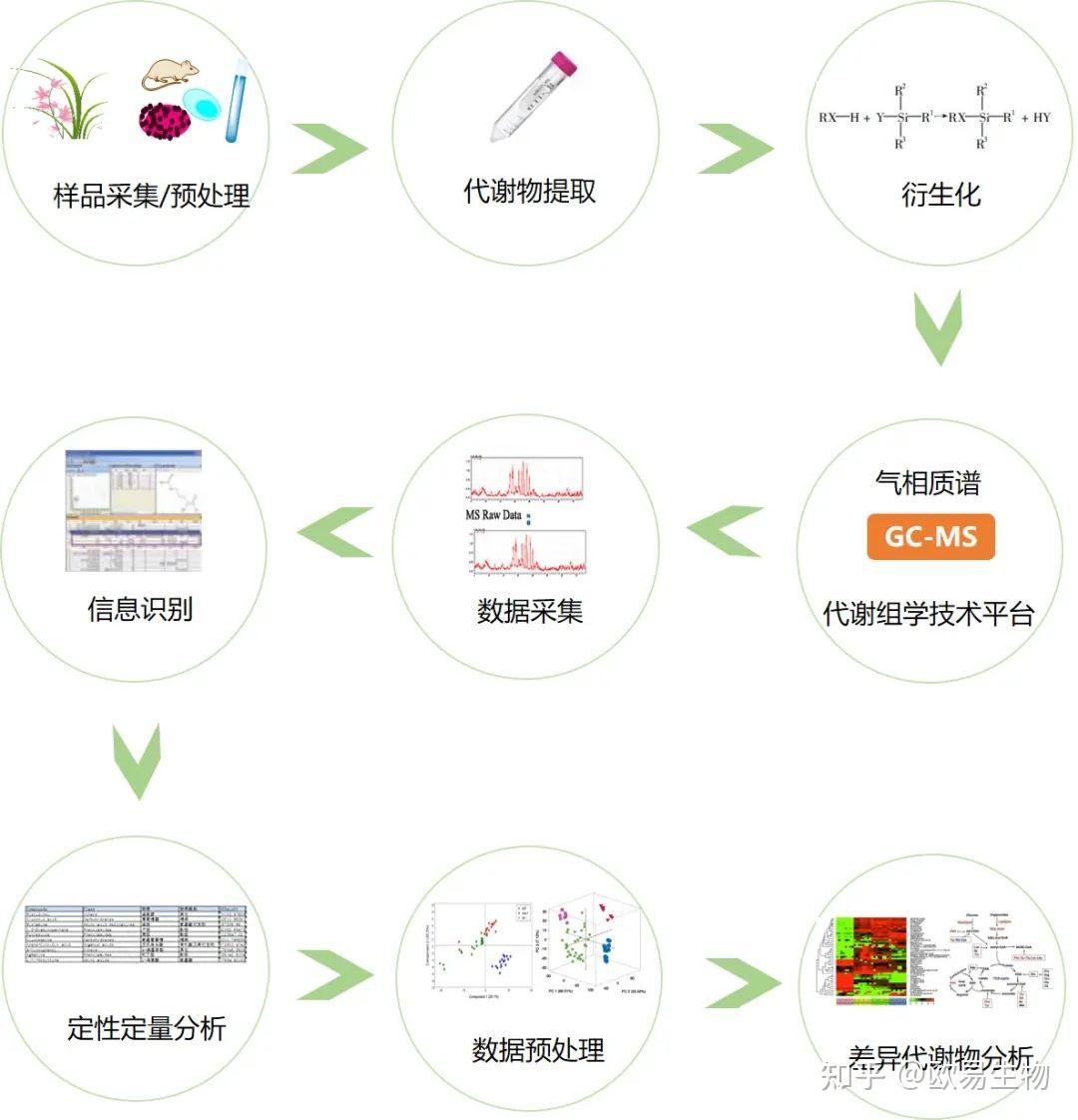 GC-MS代谢组学全套技术流程、应用瓶颈、定量方式及数据库应用~ - 知乎