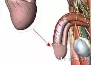 zhuanlan.zhihu.com