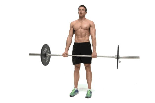 2018.8.15健身小白的第二节私教课课程记录