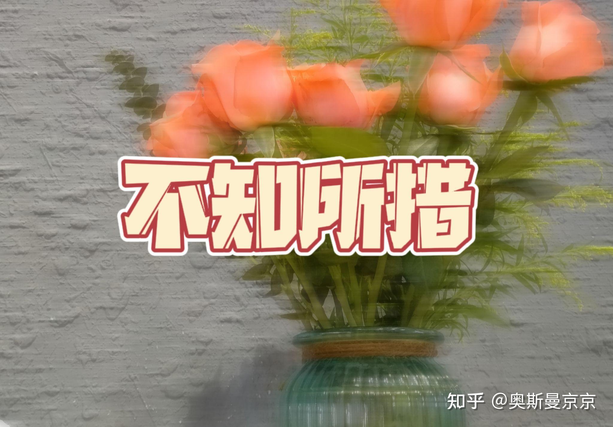 不知所措 - 知乎