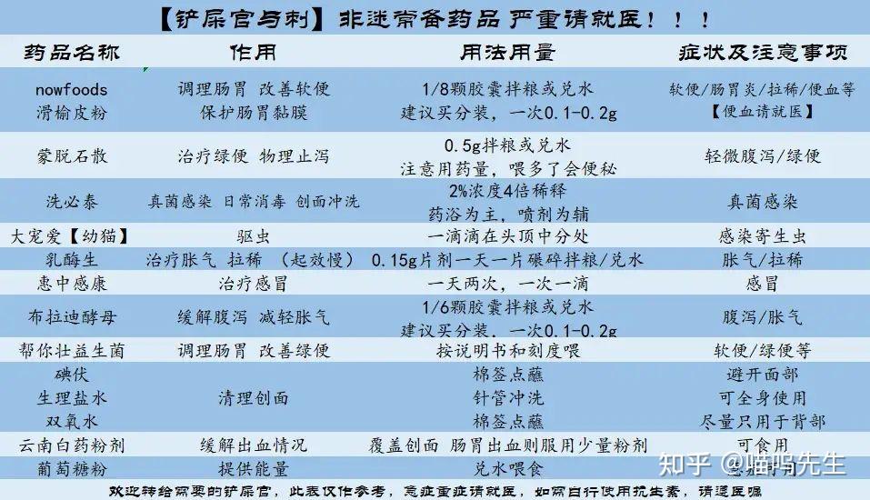 穿透刺猬的表象