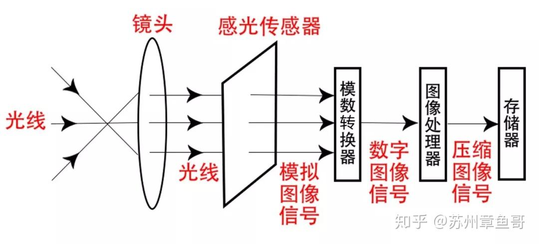 机身内部的感光元件接收到光信号后,会把它转变为电信号,传递给图像