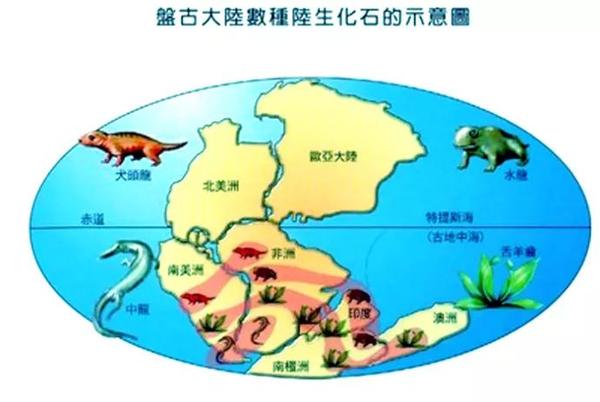 大陆漂移学硕图片