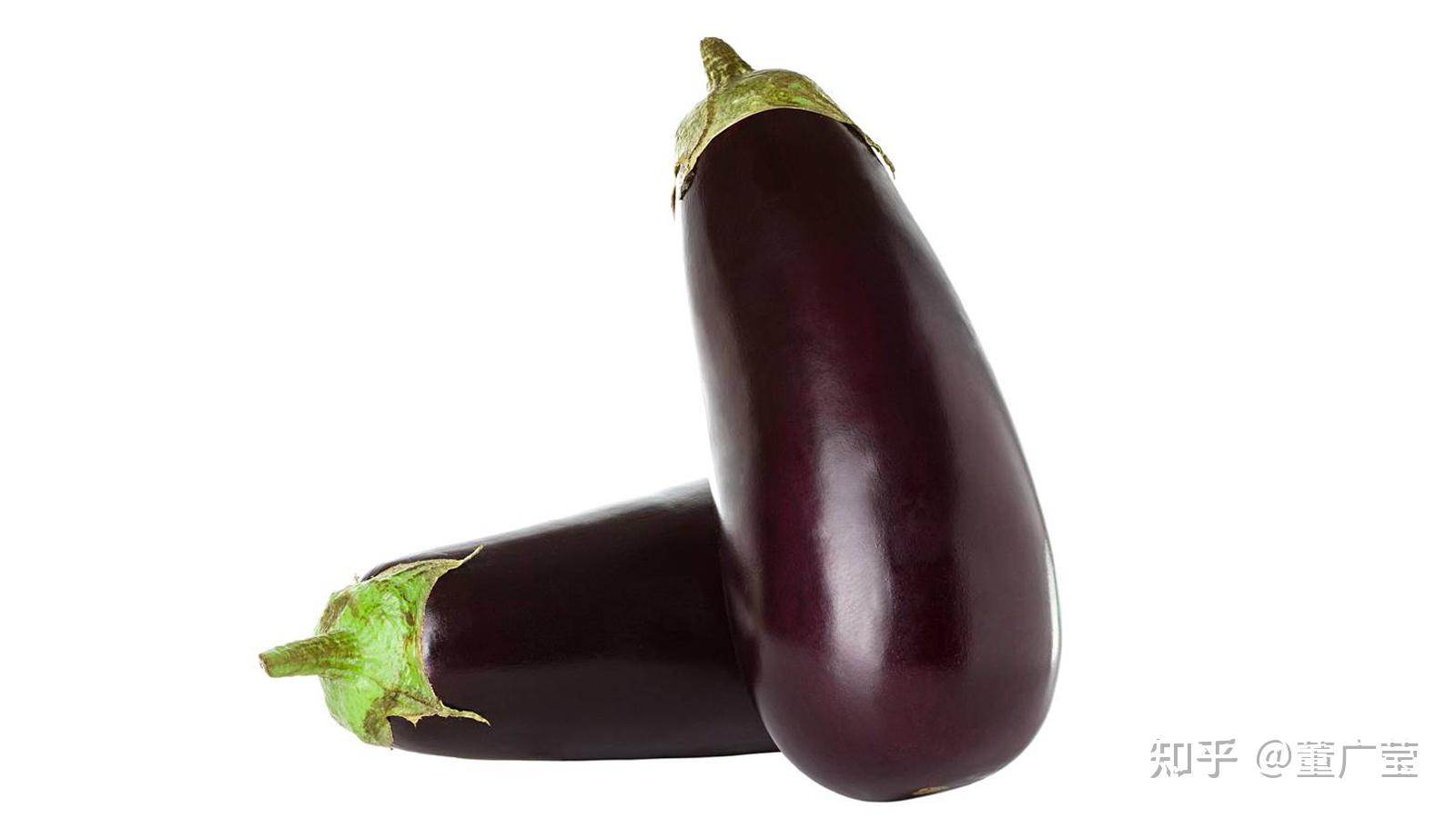Purple Long Eggplant Seeds | Etsy