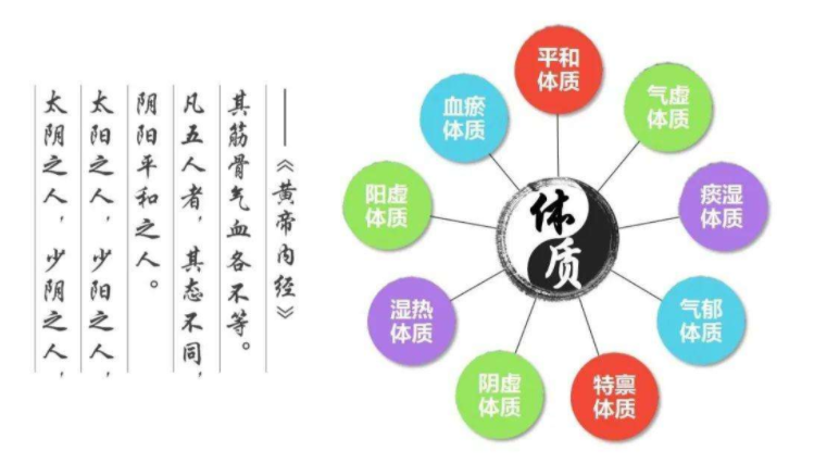 红昱健康 ii 九大体质及表现分别是什么?