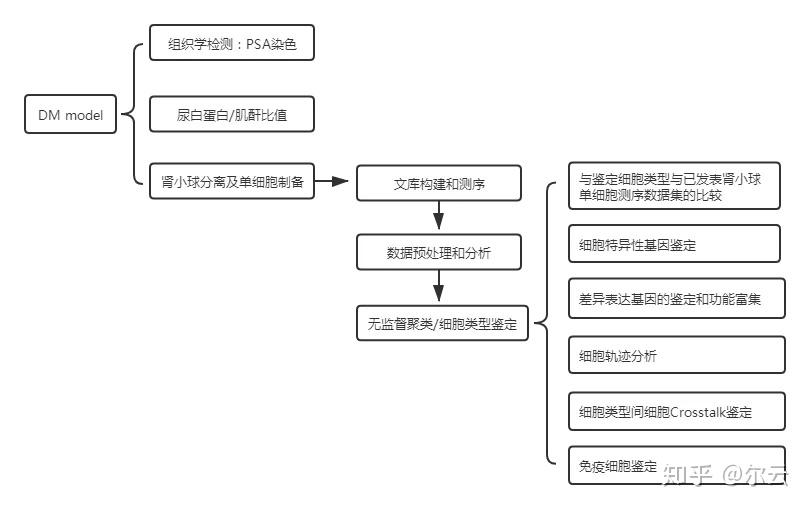 技術路線今天,我們一起來解讀一篇發表在j am soc nephrol雜誌(1區,if