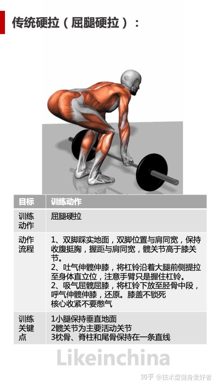 “硬拉”DeadLift全解(建议收藏) - 知乎
