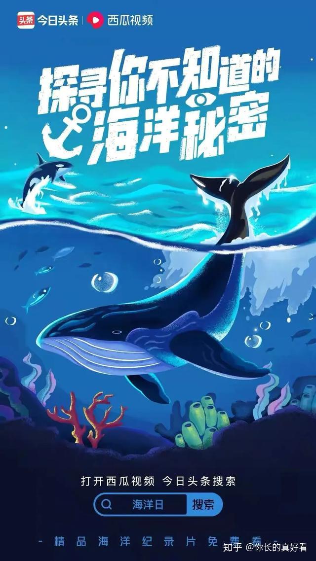 不仅有《地球脉动》,还有《蓝色星球》,《向深海出发》等豆瓣高分纪录