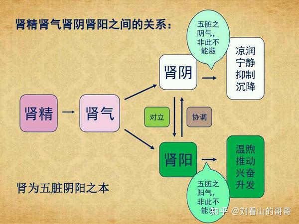 龙南中医院:长期反复腹泻,无非这几个原因,中医辨证论治,改善顽固腹泻 - 知乎