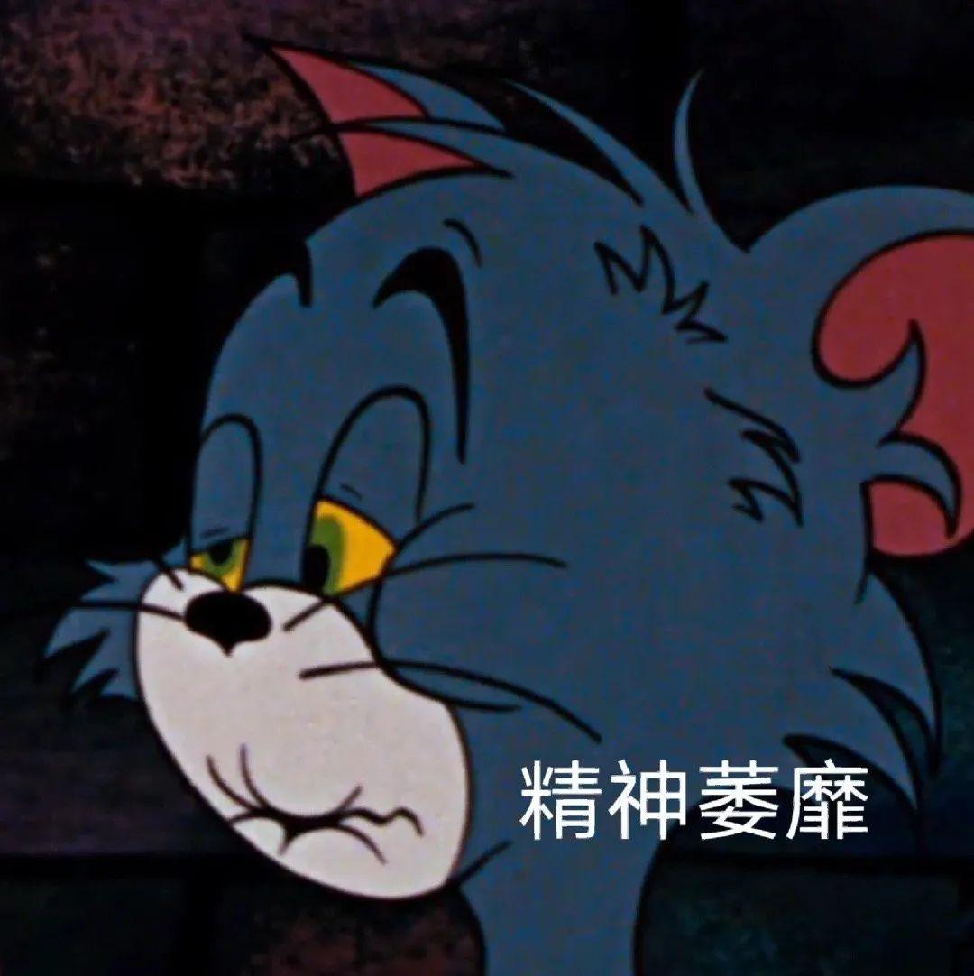 猫和老鼠表情包 裹紧我的小被子