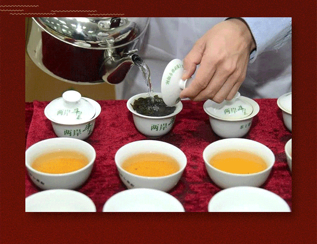一次喝遍茶王赛9大参赛茶是什么体验? - 知乎