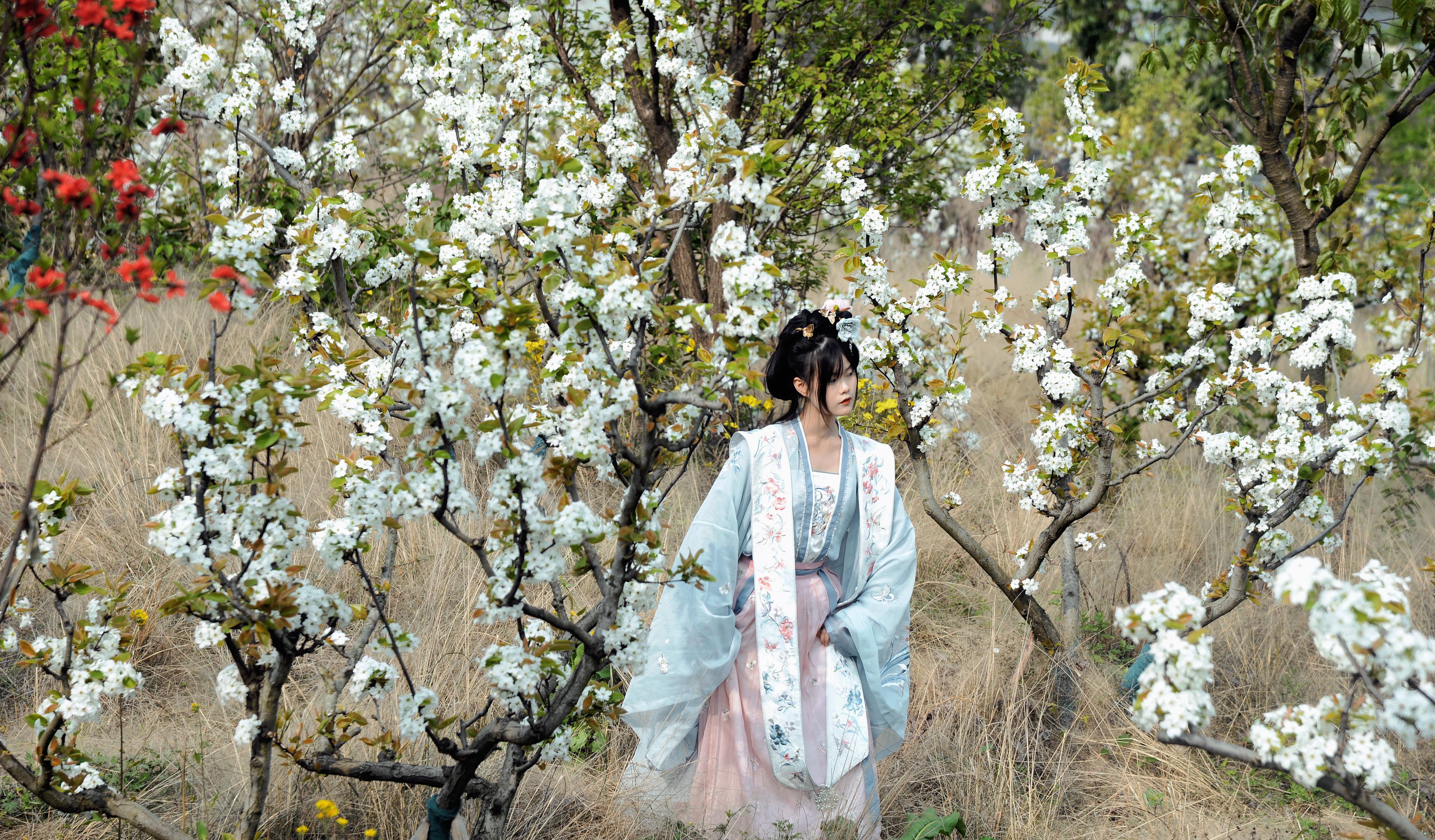 4000余亩梨花竟相成都金堂第十九届梨花节推高赏花热潮