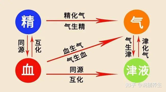 气、血、津液之间的相互关系! - 知乎