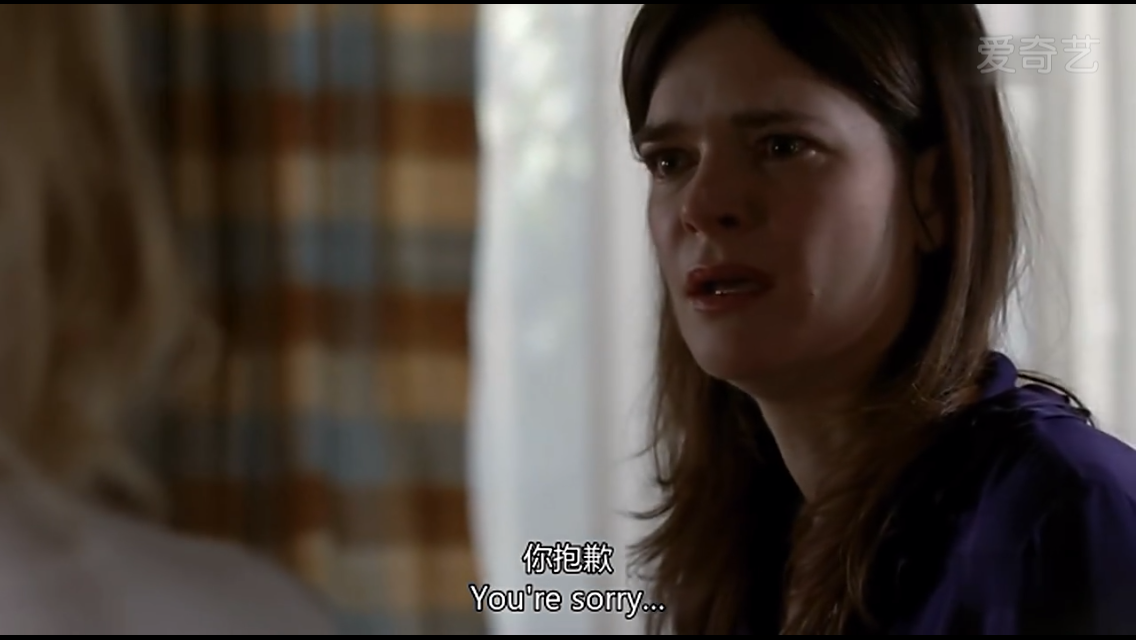 如何评价绝命毒师中的skyler