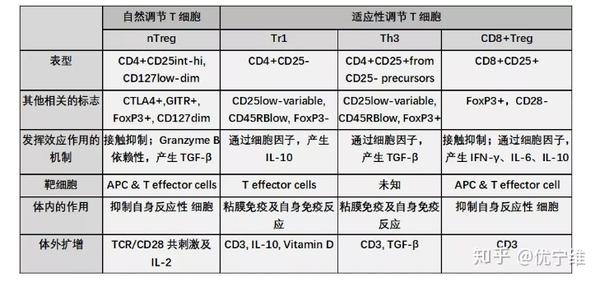 调节t细胞我这碗水端的可还平