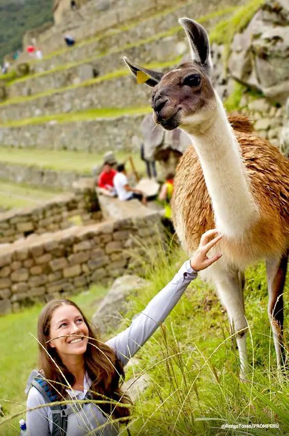 上下五千年,秘鲁居然是地球另一端的文明古国?