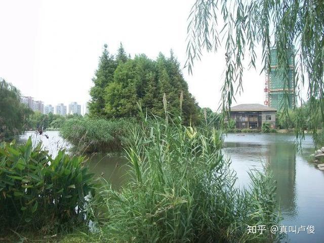 以及這樣的千燈公園,佔地面積也是非常大不僅如此,甚至還有這樣的古鎮