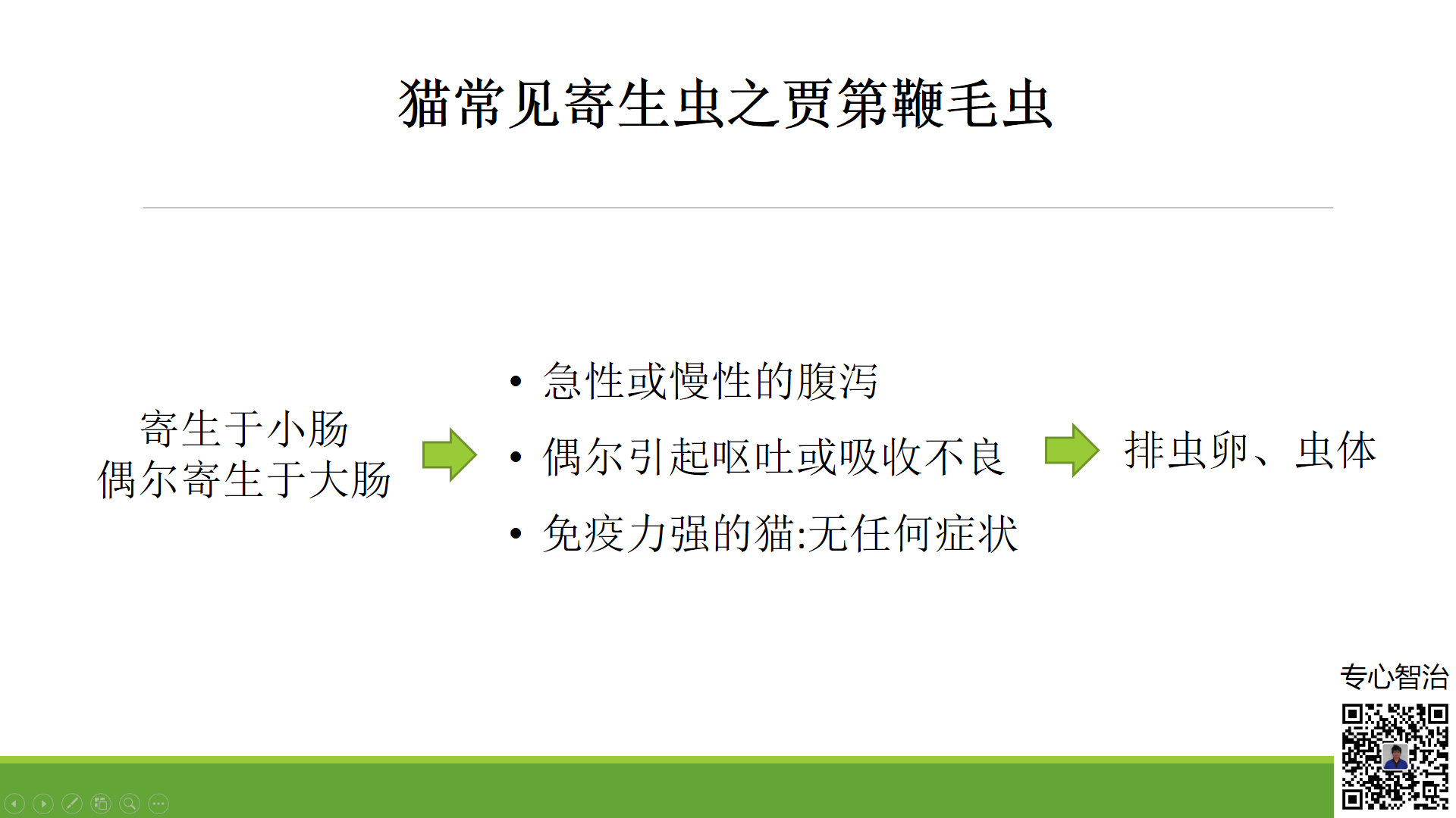我的猫得了贾第鞭毛虫,一直拉肚子,家里另外一只好像也感染了,怎么办