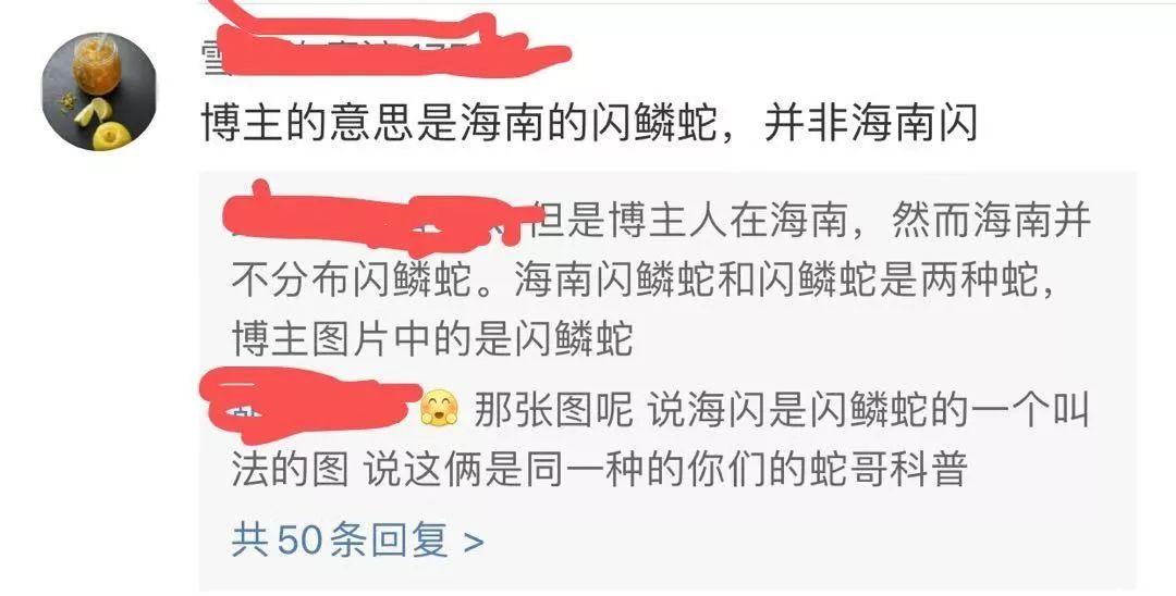 4男子直播捕蛇真人秀被抓 称在海南发现闪鳞蛇新闻据南国都市报称,19