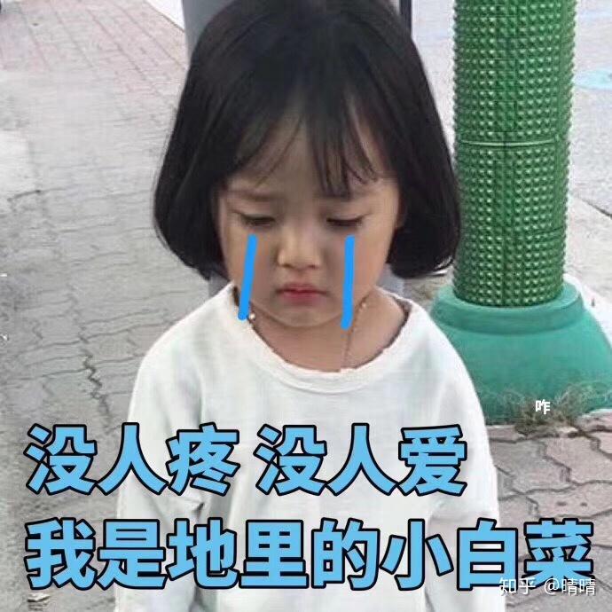 v2-a53d06c58af151d04cb70bd75bf69669_r.jpg
