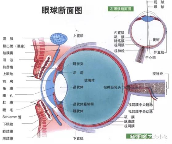 角膜溃疡