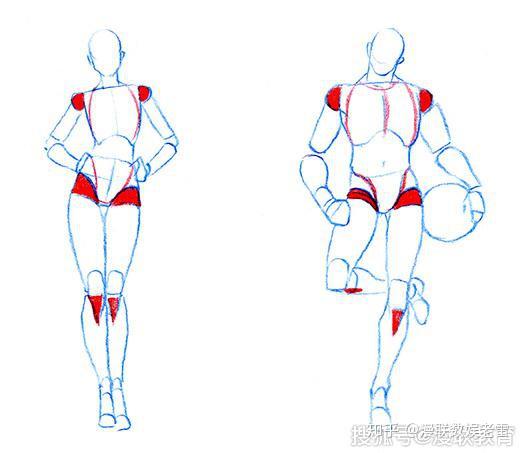 「教程」零基础画漫画正面人体,专业漫画培训