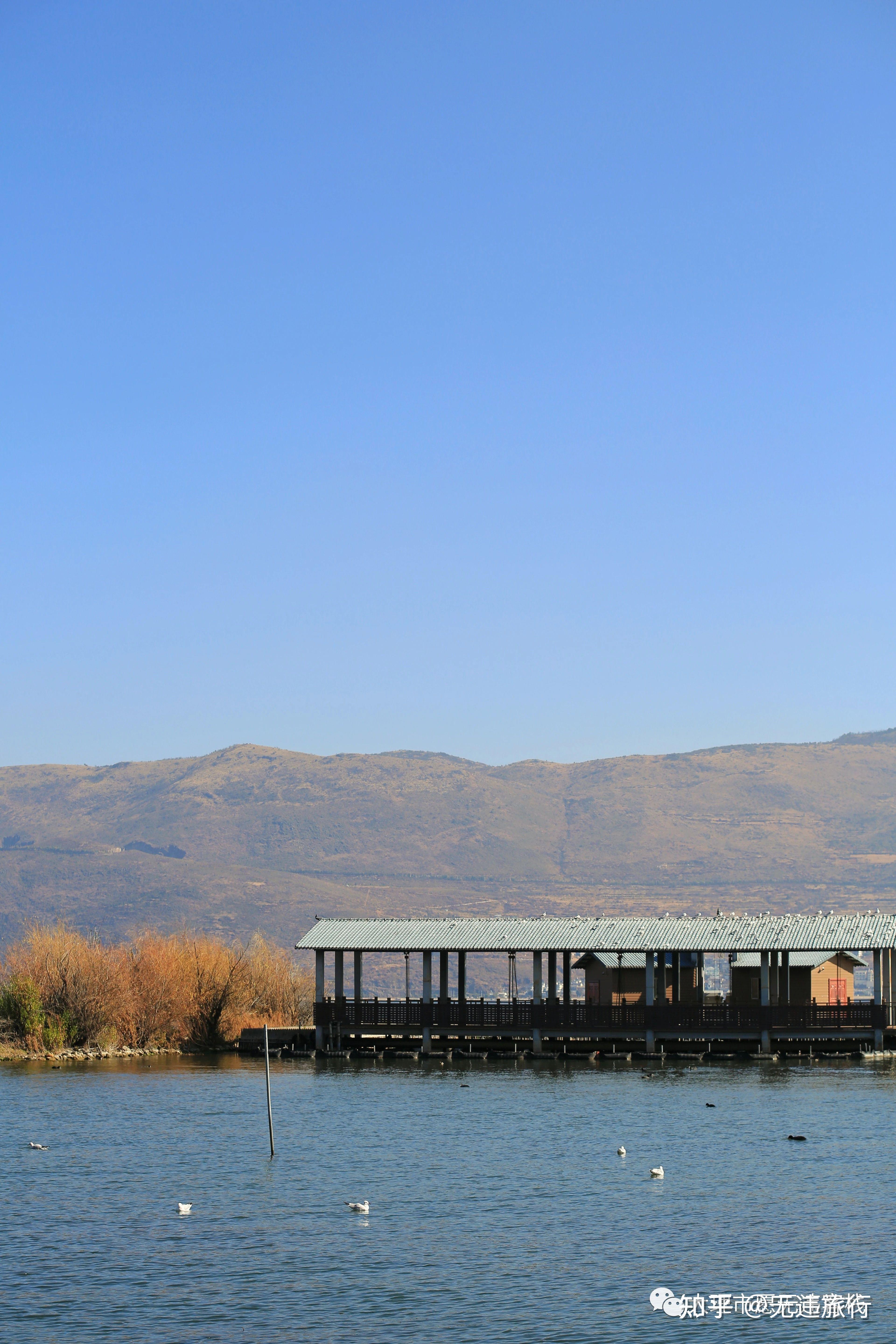 大理洱海才村码头旅游精美旅拍分享