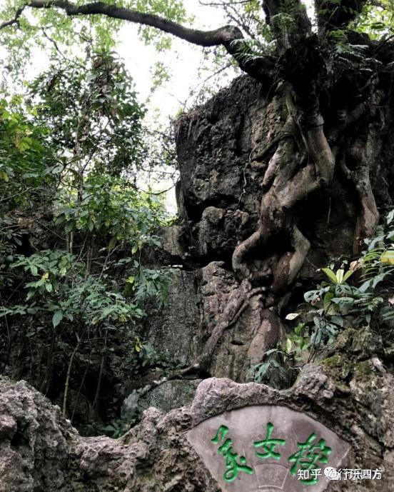 黄果树大瀑布细品-黄果树的瀑布短文答案