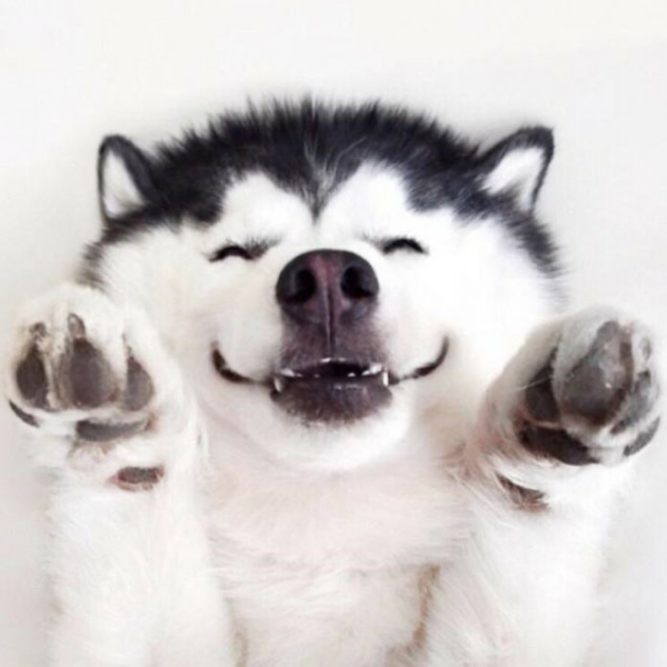 有哪些不错的西语电影或电视剧可以用来辅助学